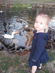 Ducks at the pond on BYU campus