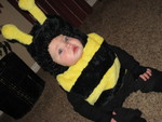 Baby Bee