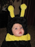 Baby Bee posing for the camera