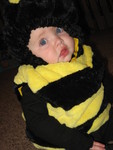 Baby bee 2