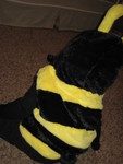 Check out the back of the baby bee
