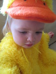 Ducky Madison