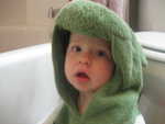 Pauly in his dinosaur towel