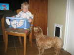 IMG 0490