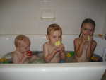 IMG 0521