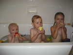 IMG 0523