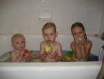 IMG 0524