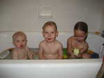 IMG 0525