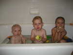 IMG 0526