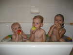IMG 0527