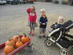 IMG 0529