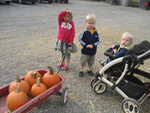 IMG 0530
