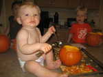 IMG 0532