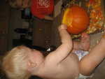 IMG 0533