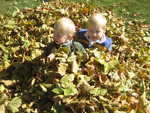 IMG 0001