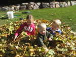 IMG 0003