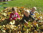IMG 0005
