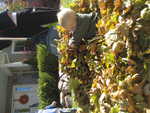IMG 0009