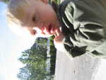 IMG 0010