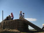 IMG 0012