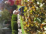 IMG 0017