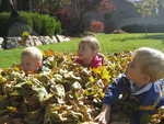 IMG 0019
