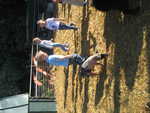 IMG 0020