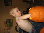 IMG 0029