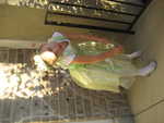 IMG 0041