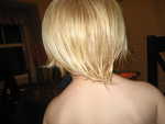 IMG 0043