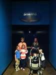 IMG 2537