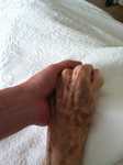 IMG 4079