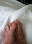 IMG 4080