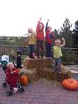 IMG 4082