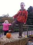 IMG 4085