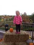 IMG 4090