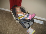 Madison just hanging out in Paul's car seat reading books