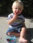 Pauly loving raspberries