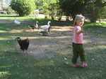 IMG 0457