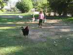 IMG 0458
