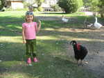 IMG 0459