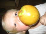 IMG 0001