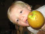 IMG 0002