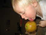 IMG 0003