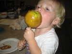 IMG 0005