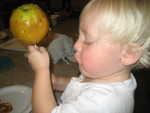 IMG 0006