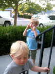 IMG 0008