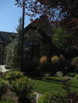 IMG 0022