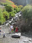 IMG 0029
