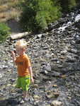 IMG 0031